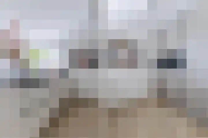 Wildemanstraat 20 Alkmaar thumbnail 20