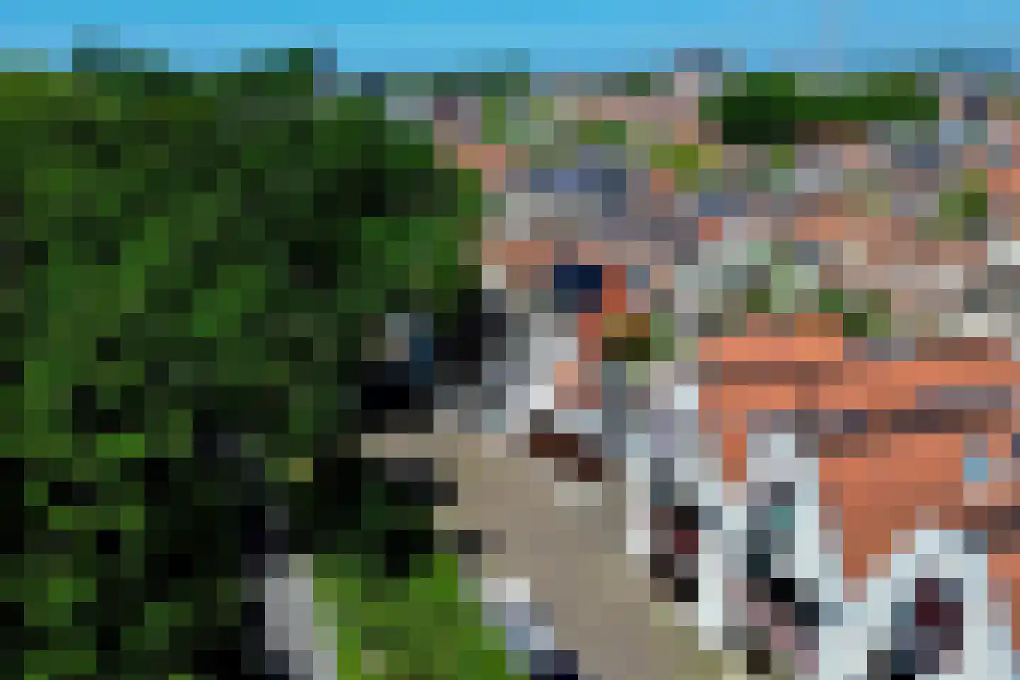 Wildemanstraat 28 Alkmaar thumbnail 4