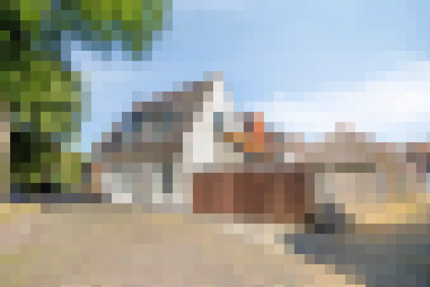 Wildemanstraat 28 Alkmaar thumbnail 8