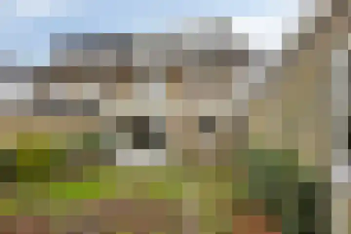 Wildemanstraat 44 Oisterwijk thumbnail 31