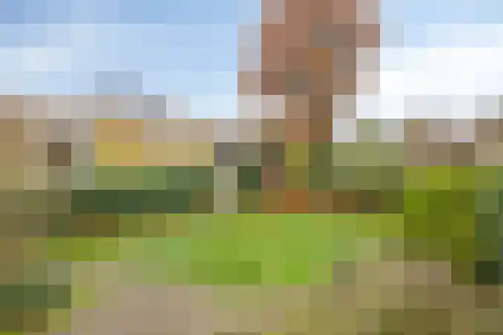 Wildemanstraat 44 Oisterwijk thumbnail 32