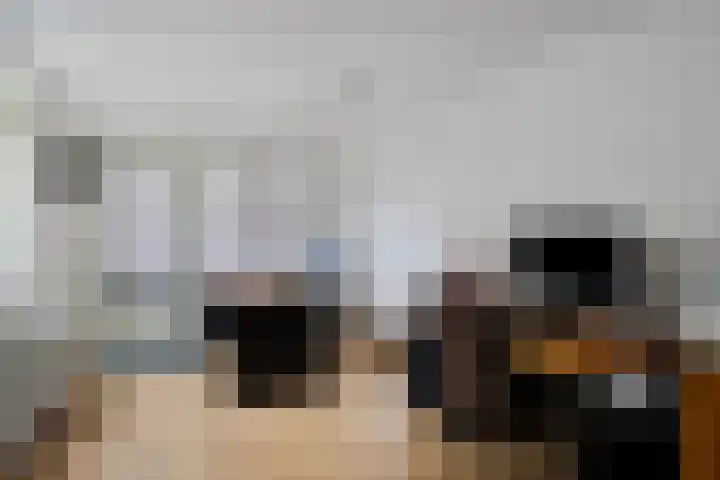Wildemanstraat 44 Oisterwijk thumbnail 33