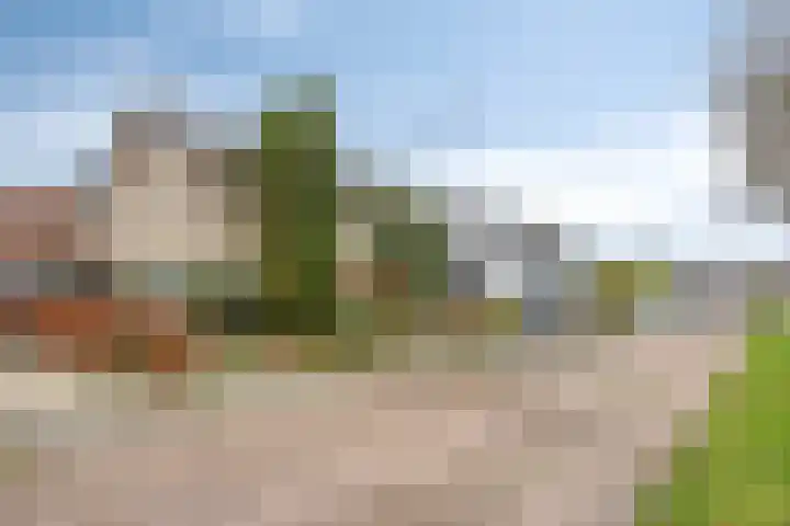 Wildemanstraat 44 Oisterwijk thumbnail 36