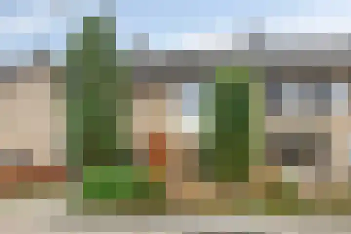 Wildemanstraat 44 Oisterwijk thumbnail 37
