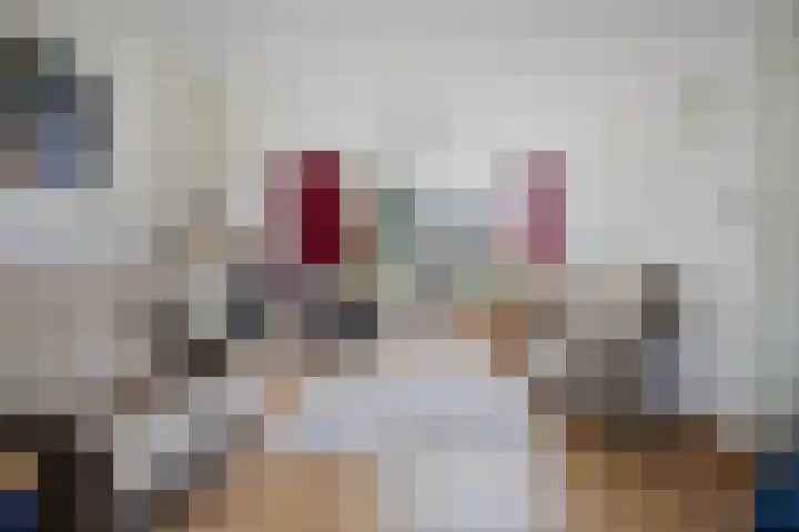 Wildemanstraat 44 Oisterwijk thumbnail 6
