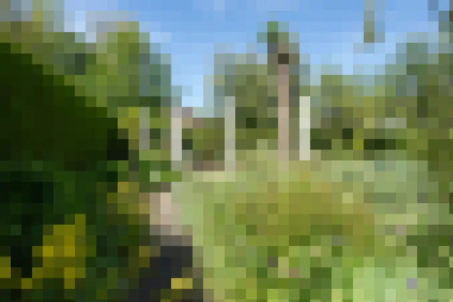 Wildemanstraat 47 Oisterwijk thumbnail 30