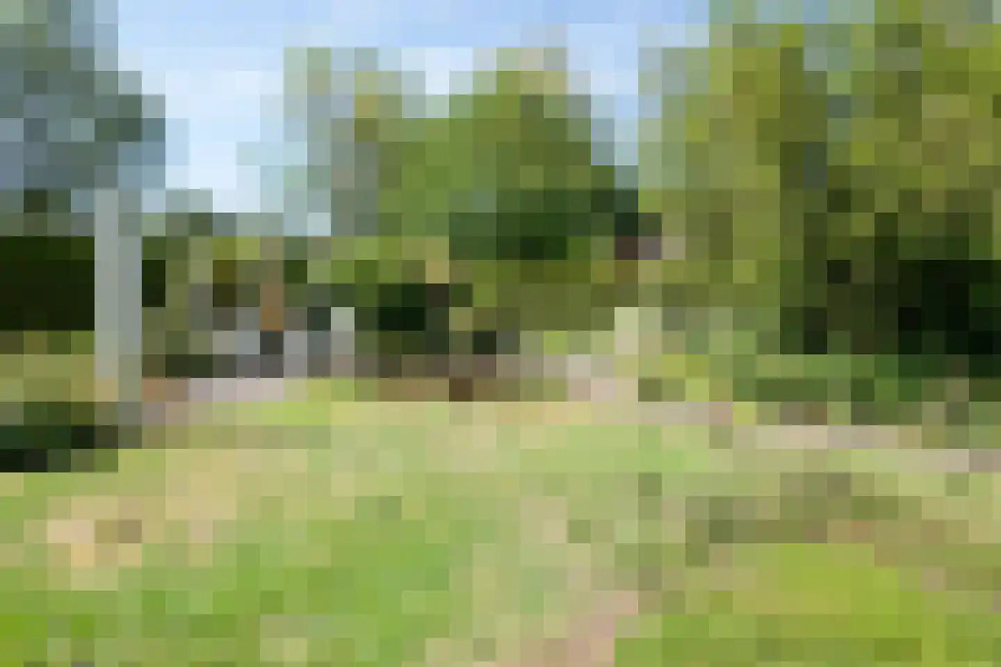 Wildemanstraat 47 Oisterwijk thumbnail 31