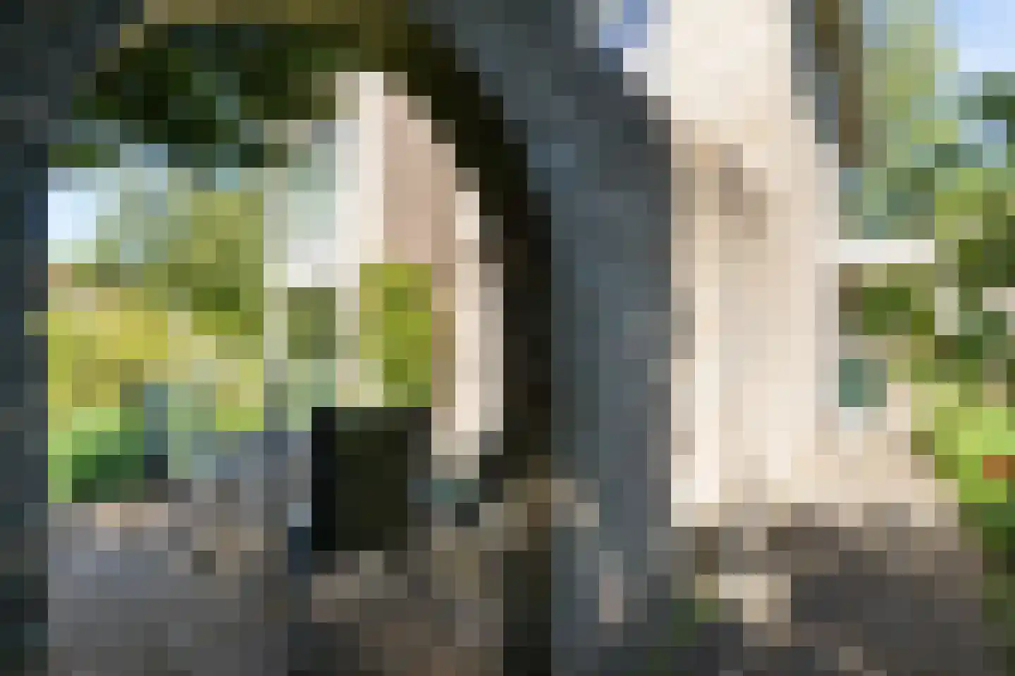 Wildemanstraat 47 Oisterwijk thumbnail 32