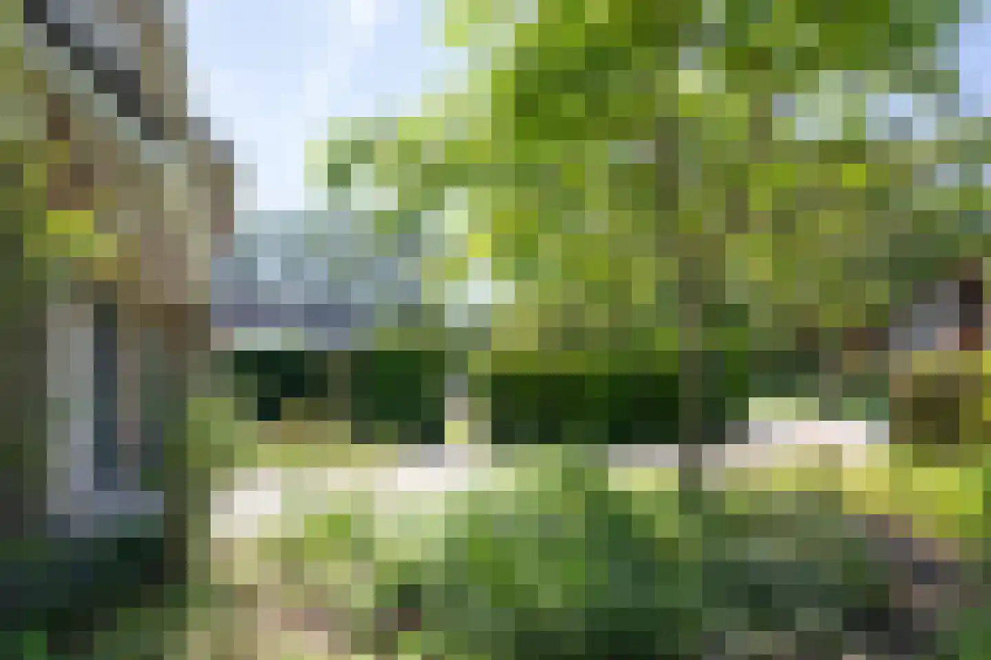 Wildemanstraat 47 Oisterwijk thumbnail 34