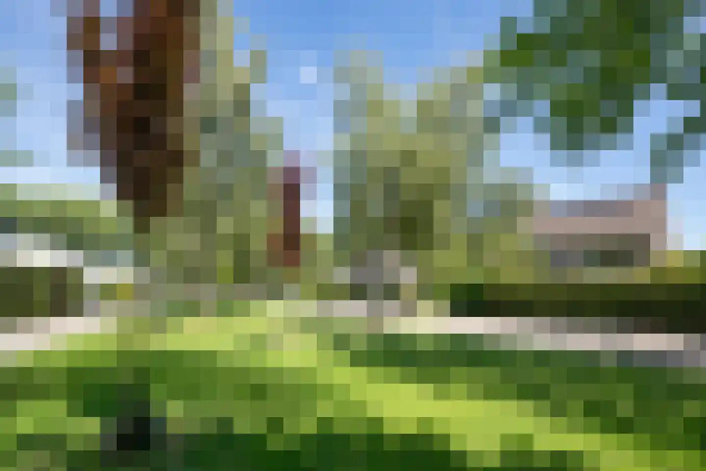 Wildemanstraat 47 Oisterwijk thumbnail 39