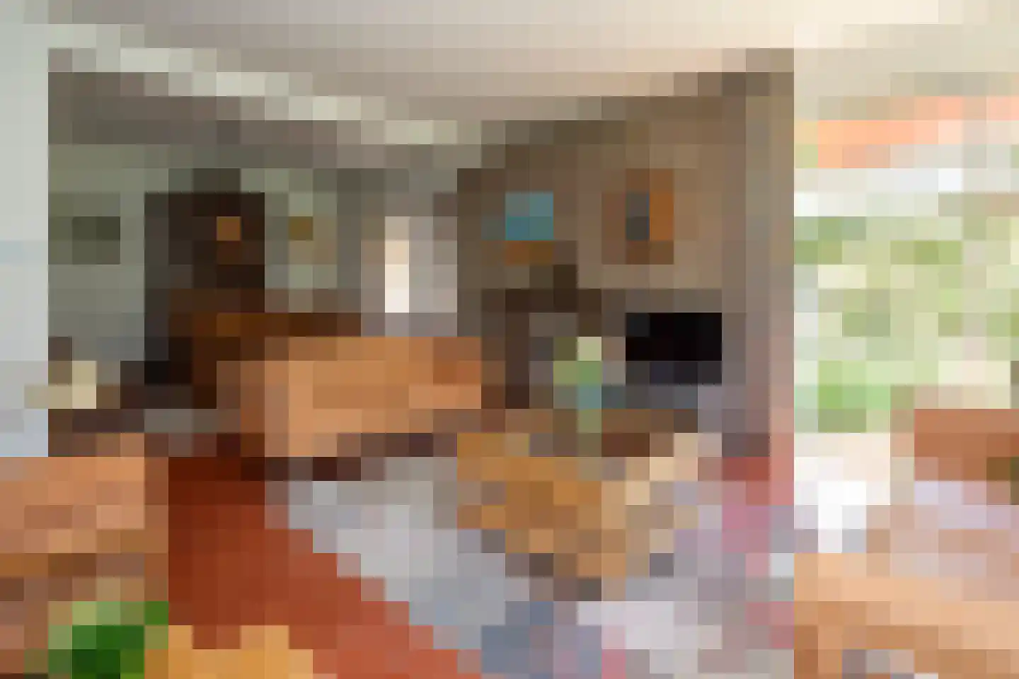 Wildemanstraat 47 Oisterwijk thumbnail 7