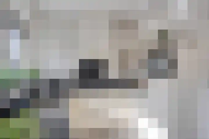 Wildemanstraat 7 Elst Ut thumbnail 12