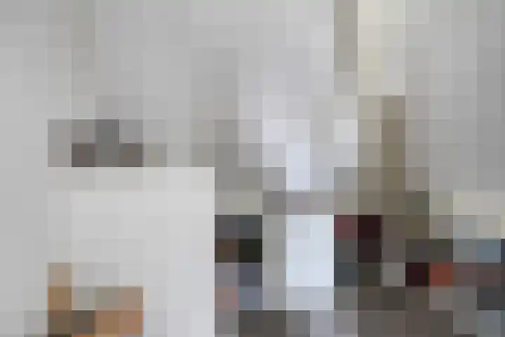 Wildemanstraat 7 Elst Ut thumbnail 24