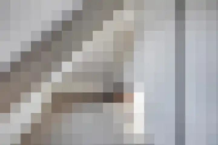 Wildemanstraat 7 Elst Ut thumbnail 25
