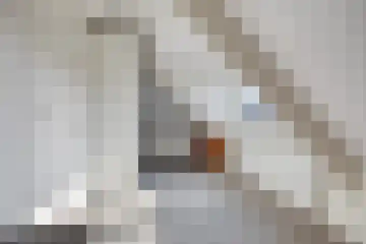 Wildemanstraat 7 Elst Ut thumbnail 26