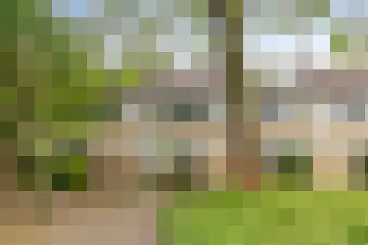 Wildenberg 24 in Zoetermeer