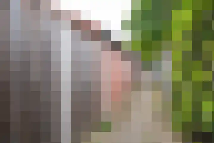 Wildenborch 106 Doetinchem thumbnail 40