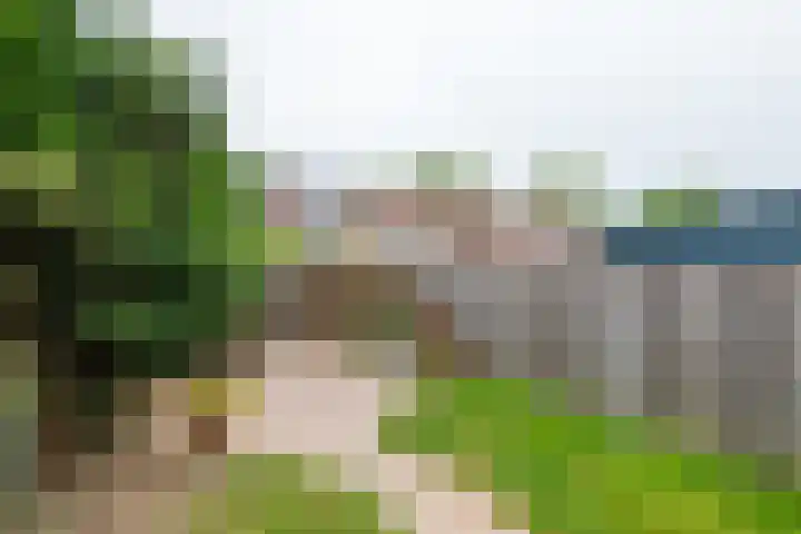 Wildenborch 106 Doetinchem thumbnail 45