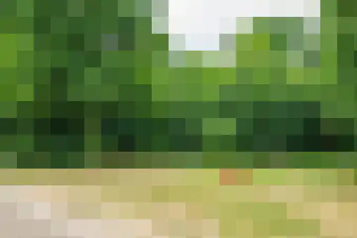 Wildenborch 106 Doetinchem thumbnail 51