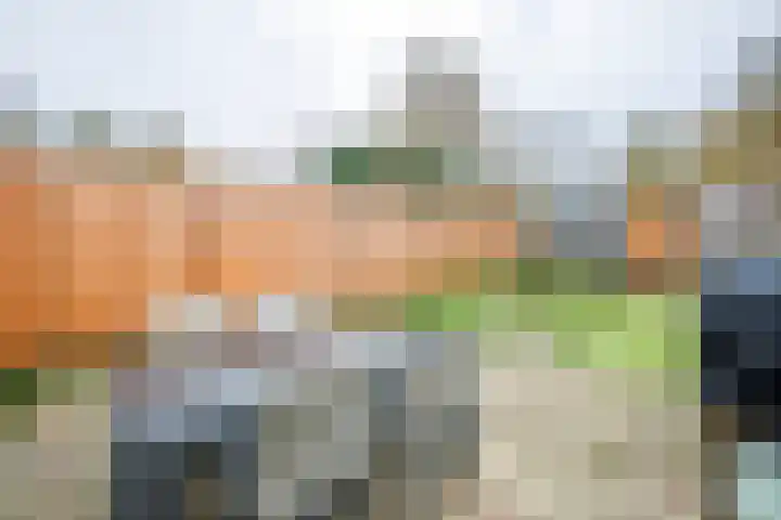 Wildenborch 111 Doetinchem thumbnail 15