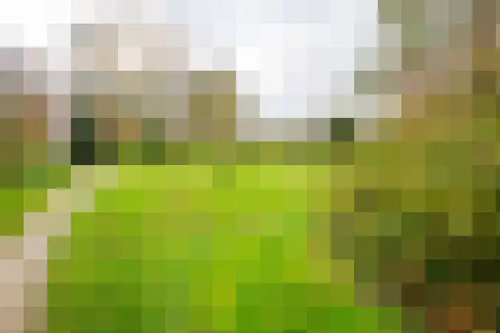 Wildenborch 111 Doetinchem thumbnail 18