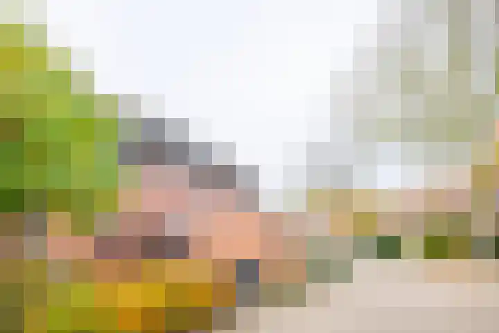 Wildenborch 111 Doetinchem thumbnail 34