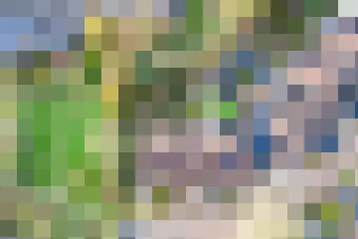 Wildenborch 111 Doetinchem thumbnail 39