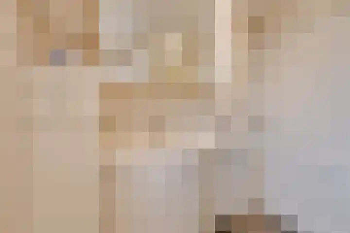 Wildenborch 115 Doetinchem thumbnail 33