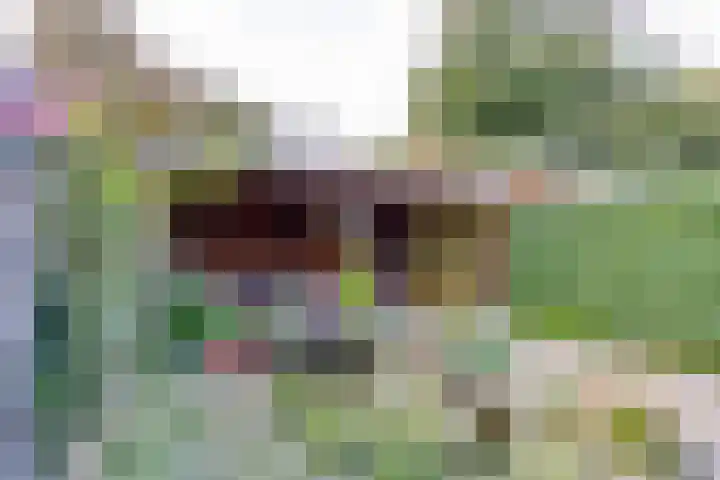 Wildenborch 115 Doetinchem thumbnail 46
