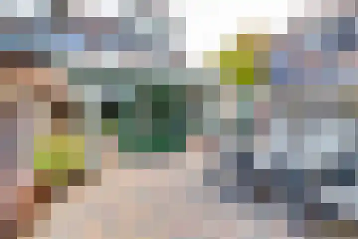 Wildenborch 115 Doetinchem thumbnail 47