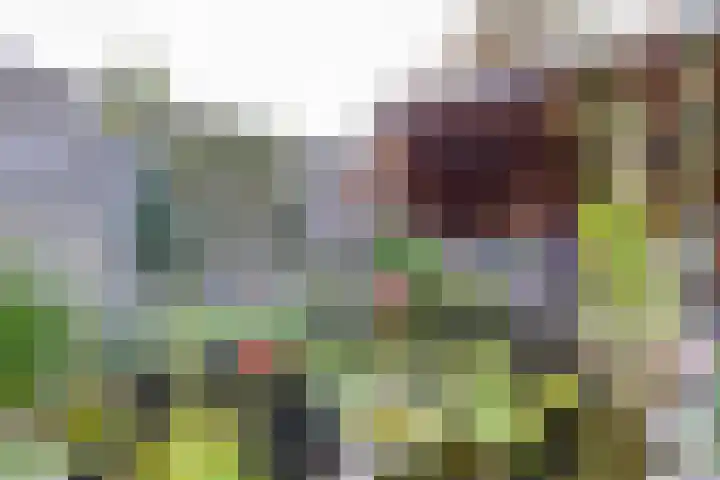 Wildenborch 115 Doetinchem thumbnail 54