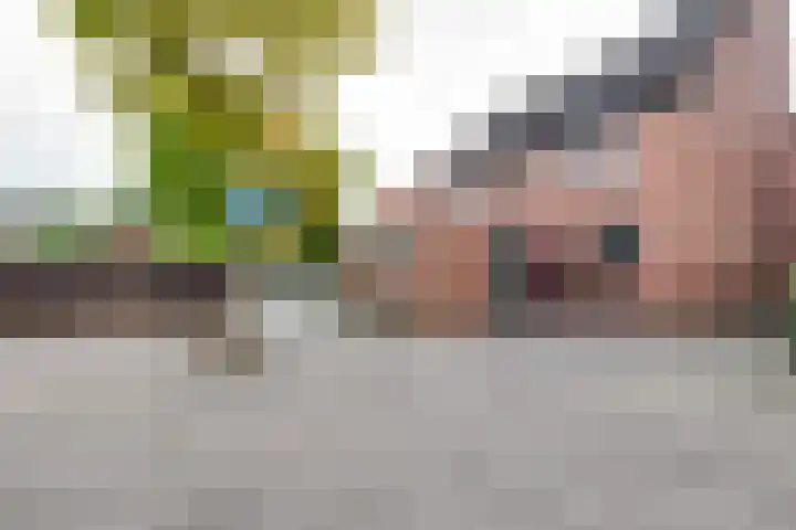 Wildenborch 115 Doetinchem thumbnail 55