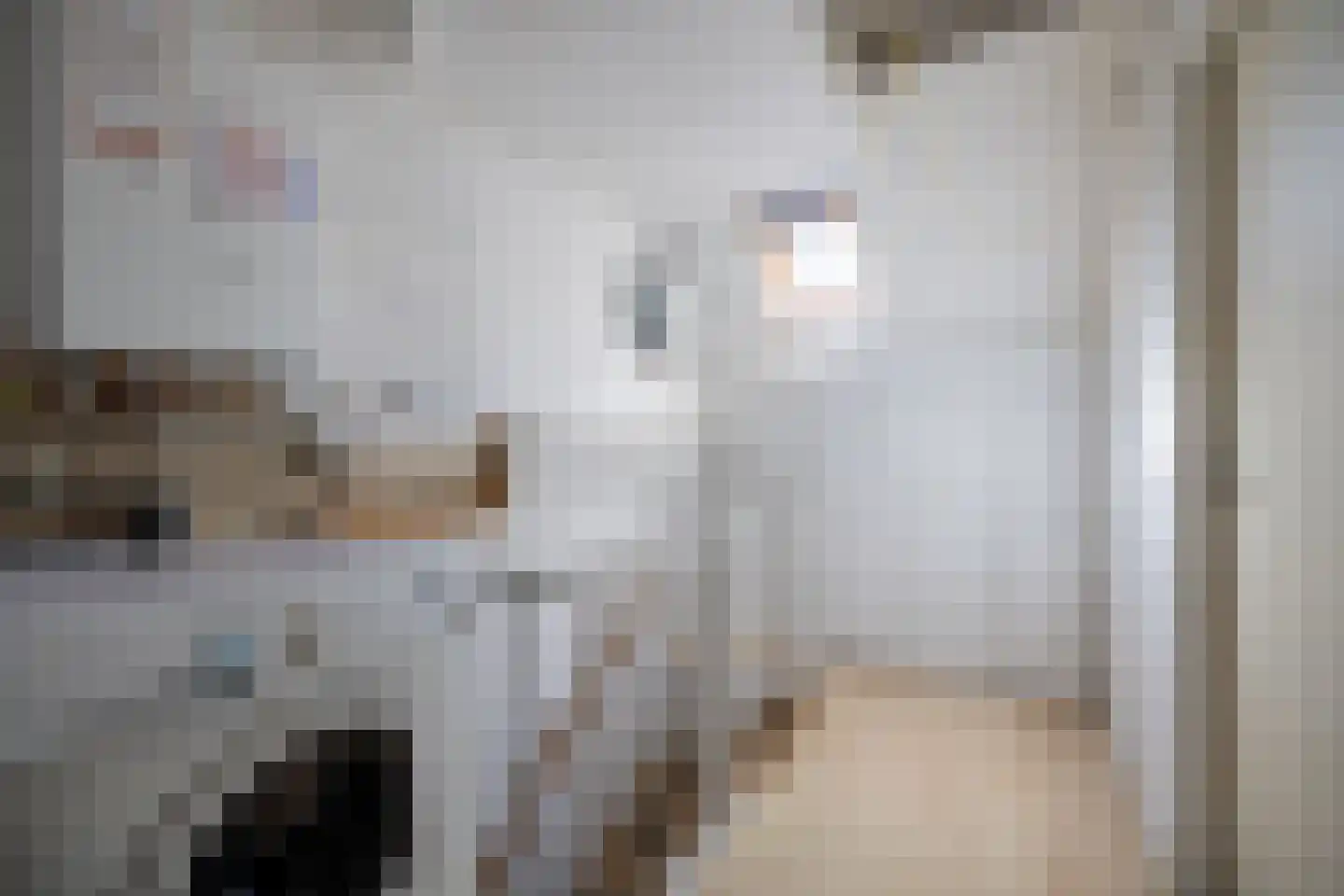 Wildenborch 117 Doetinchem thumbnail 36