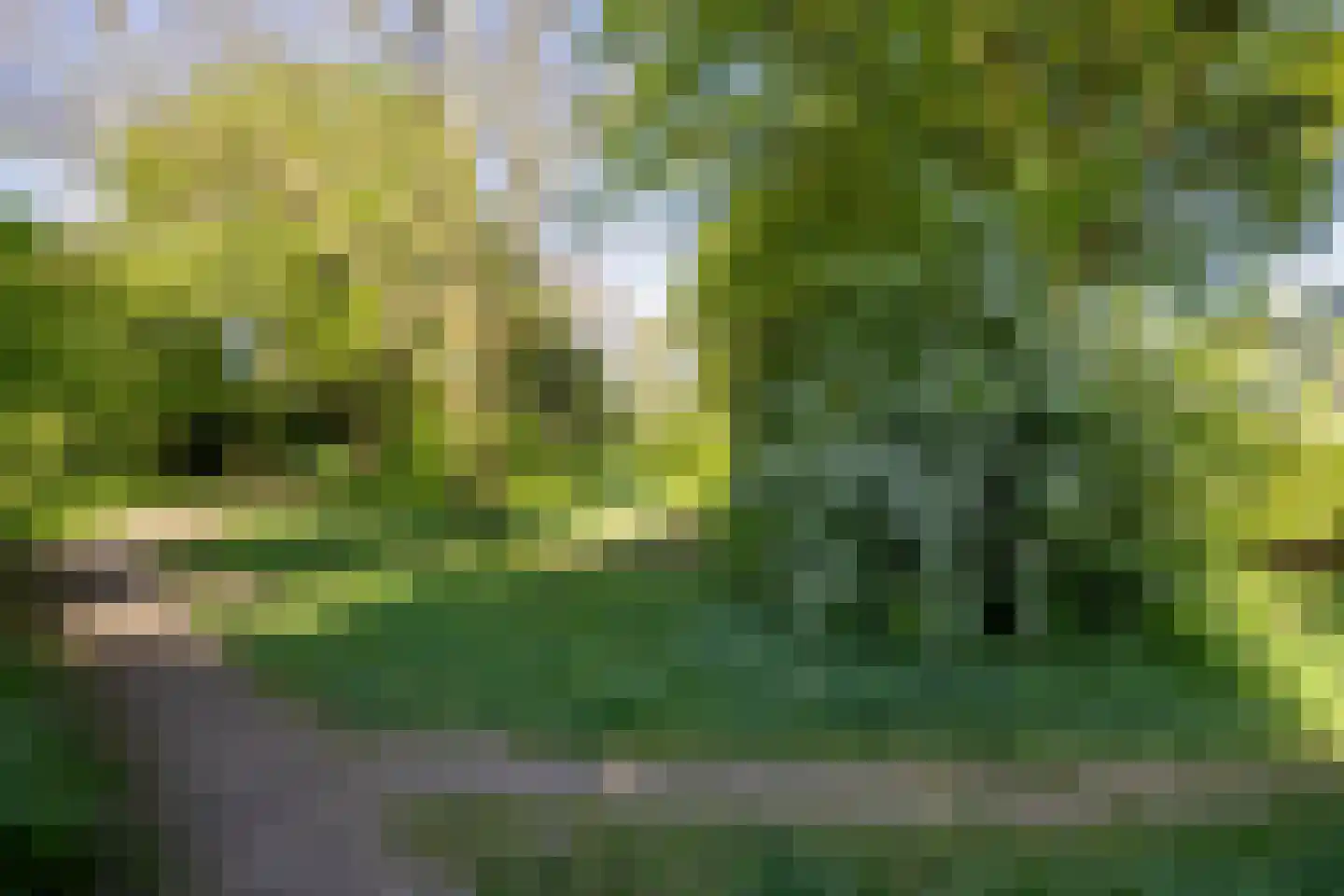 Wildenborch 117 Doetinchem thumbnail 44
