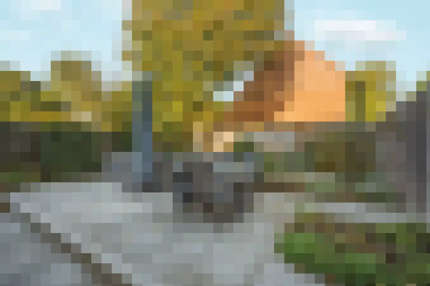 Wildenborch 15 Doetinchem thumbnail 17