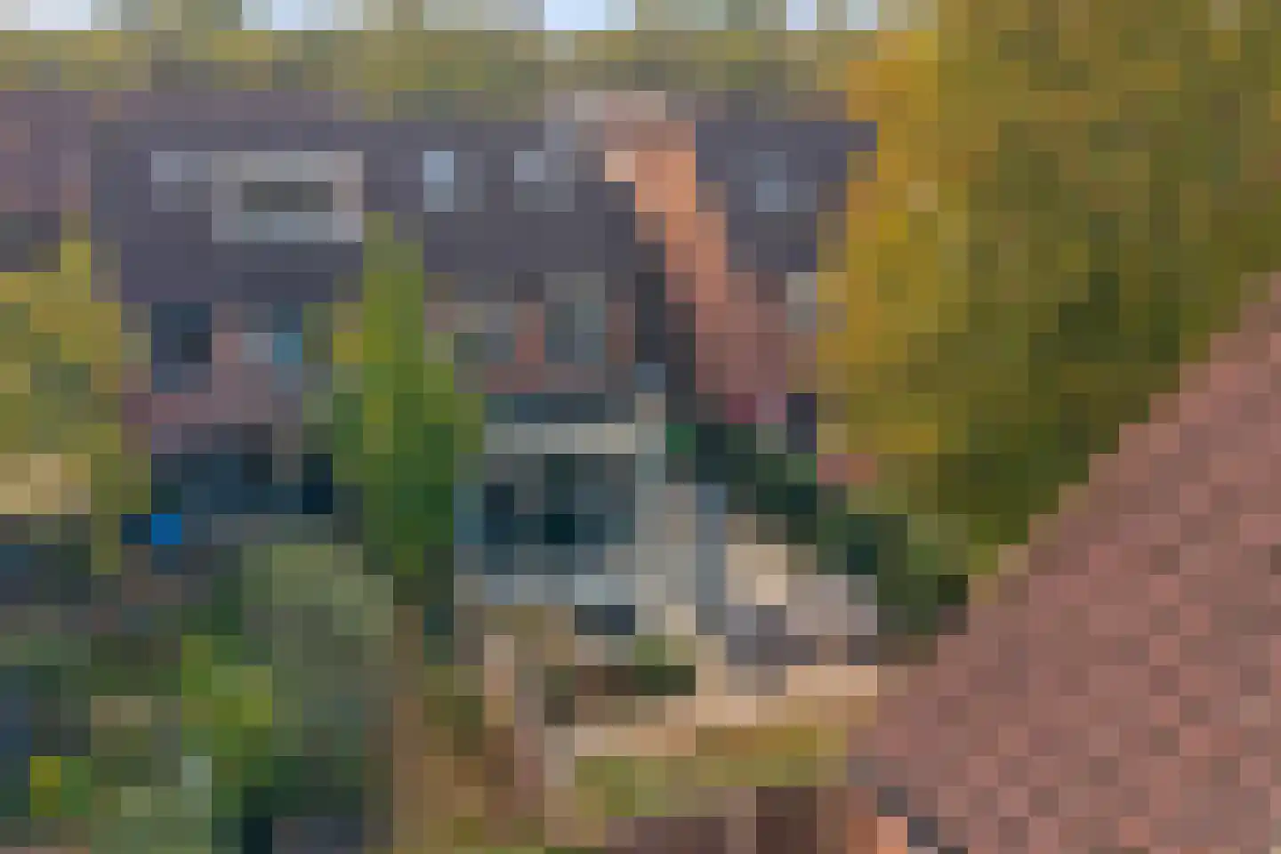 Wildenborch 15 Doetinchem thumbnail 46