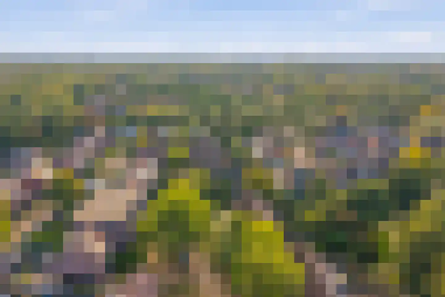 Wildenborch 15 Doetinchem thumbnail 47