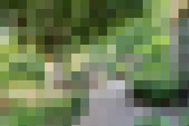 Wildenborch 194 Doetinchem thumbnail 58