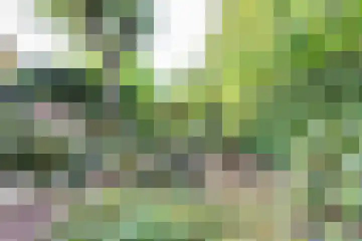 Wildenborch 194 Doetinchem thumbnail 59