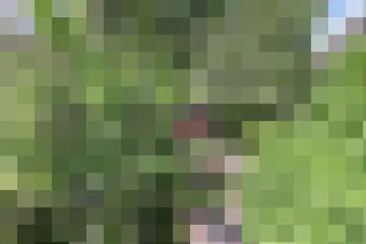 Wildenborch 20 Leidschendam thumbnail 17
