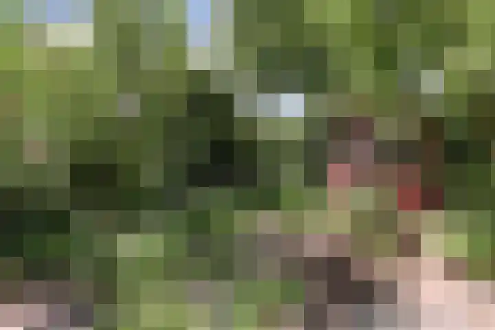 Wildenborch 20 Leidschendam thumbnail 29