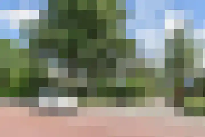 Wildenborch 20 Leidschendam thumbnail 32