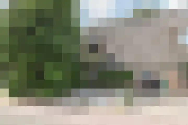 Wildenborch 20 Leidschendam thumbnail 5