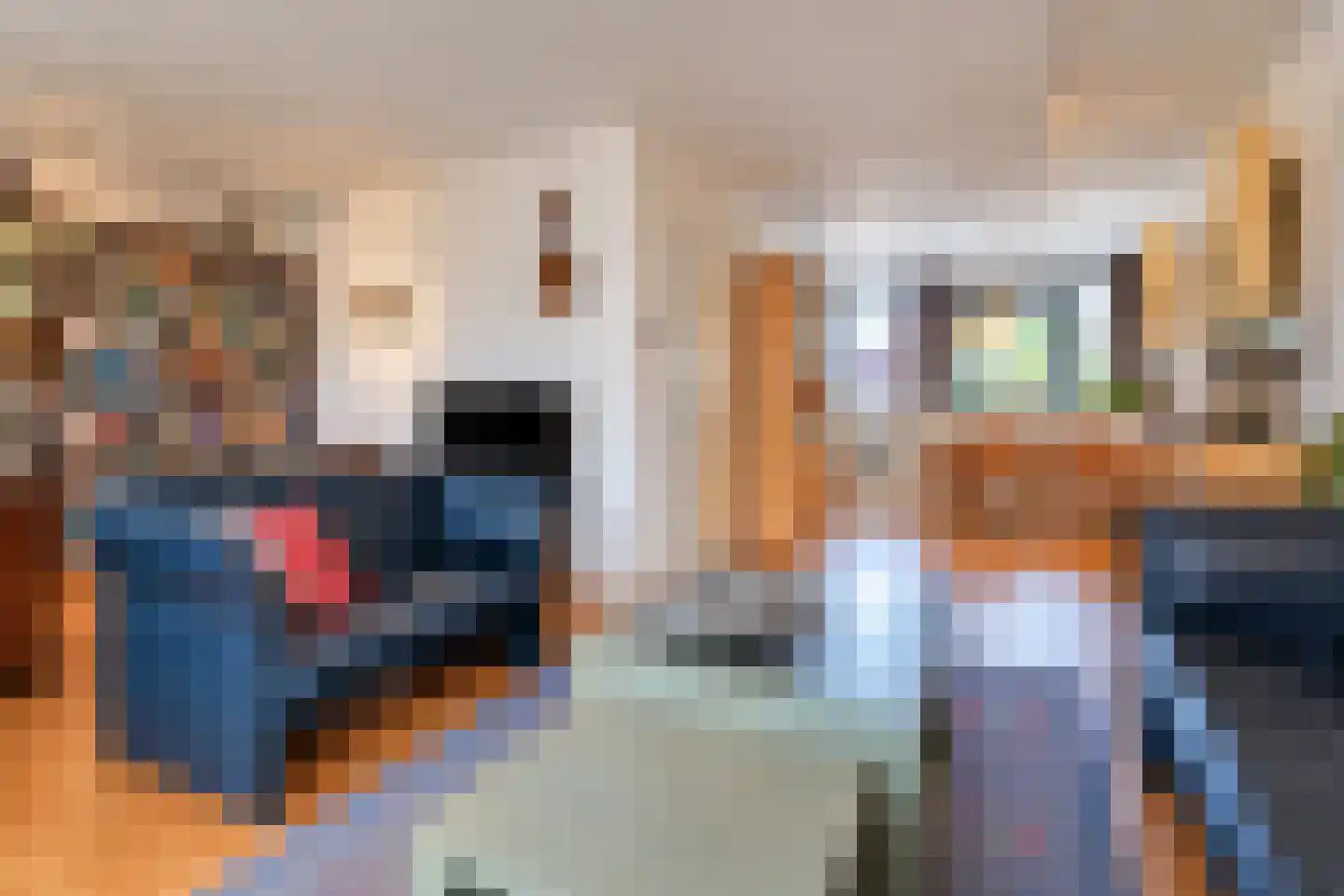 Wildenborch 208 Doetinchem thumbnail 12