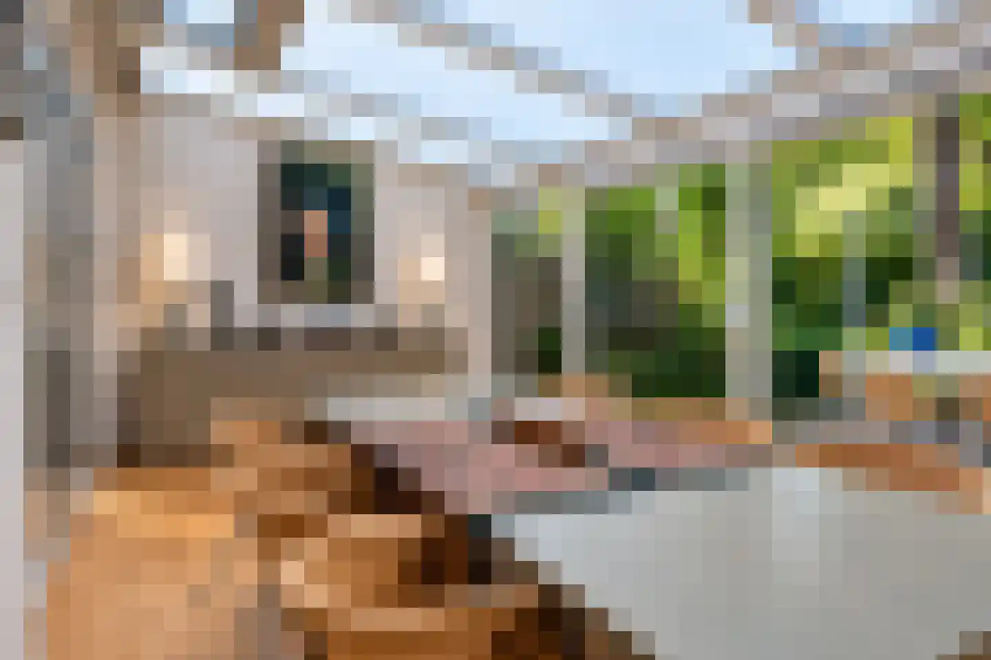 Wildenborch 208 Doetinchem thumbnail 23