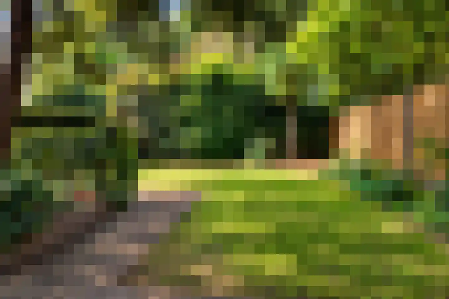 Wildenborch 208 Doetinchem thumbnail 28