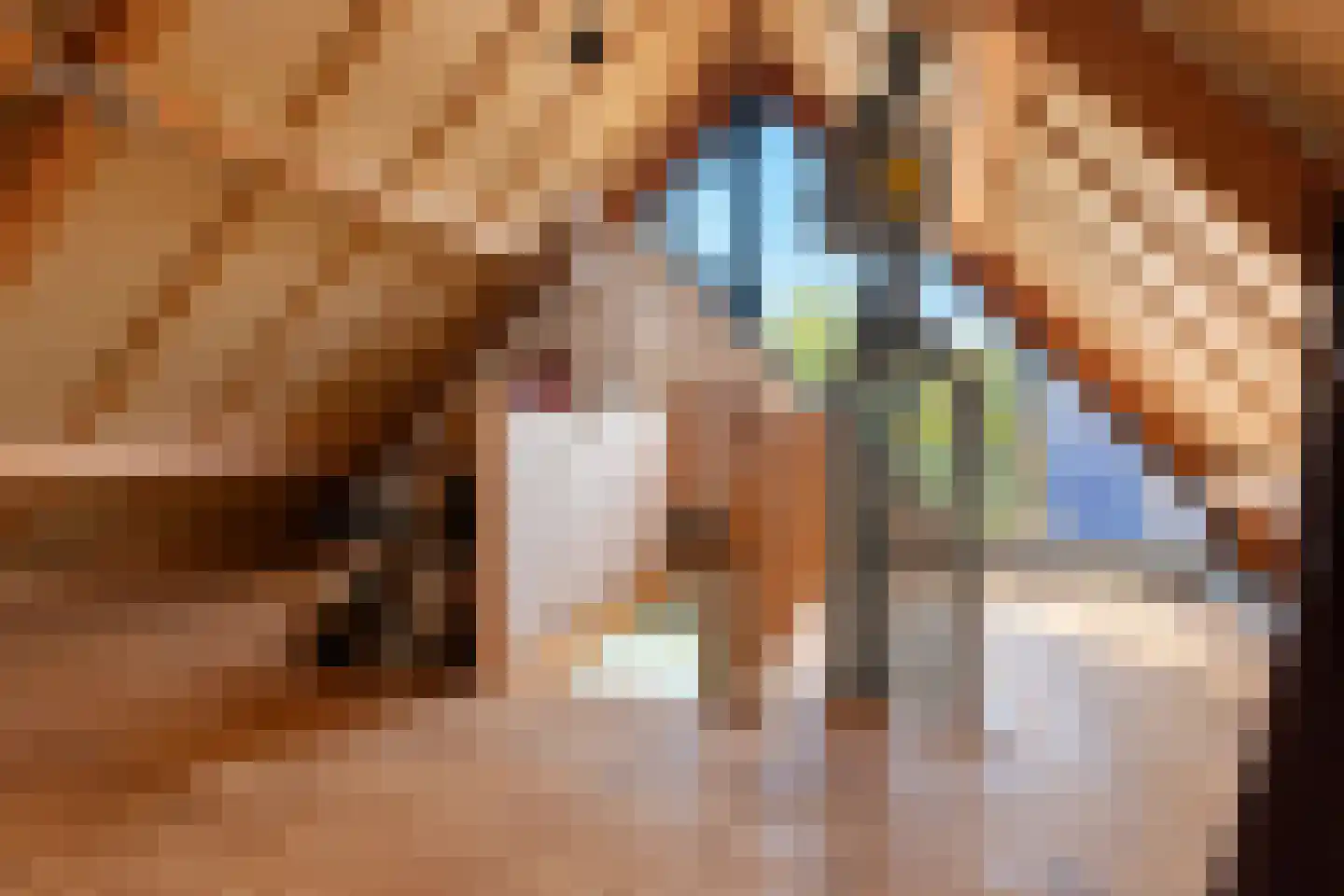 Wildenborch 208 Doetinchem thumbnail 43