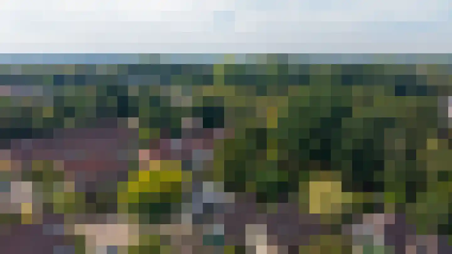 Wildenborch 208 Doetinchem thumbnail 44