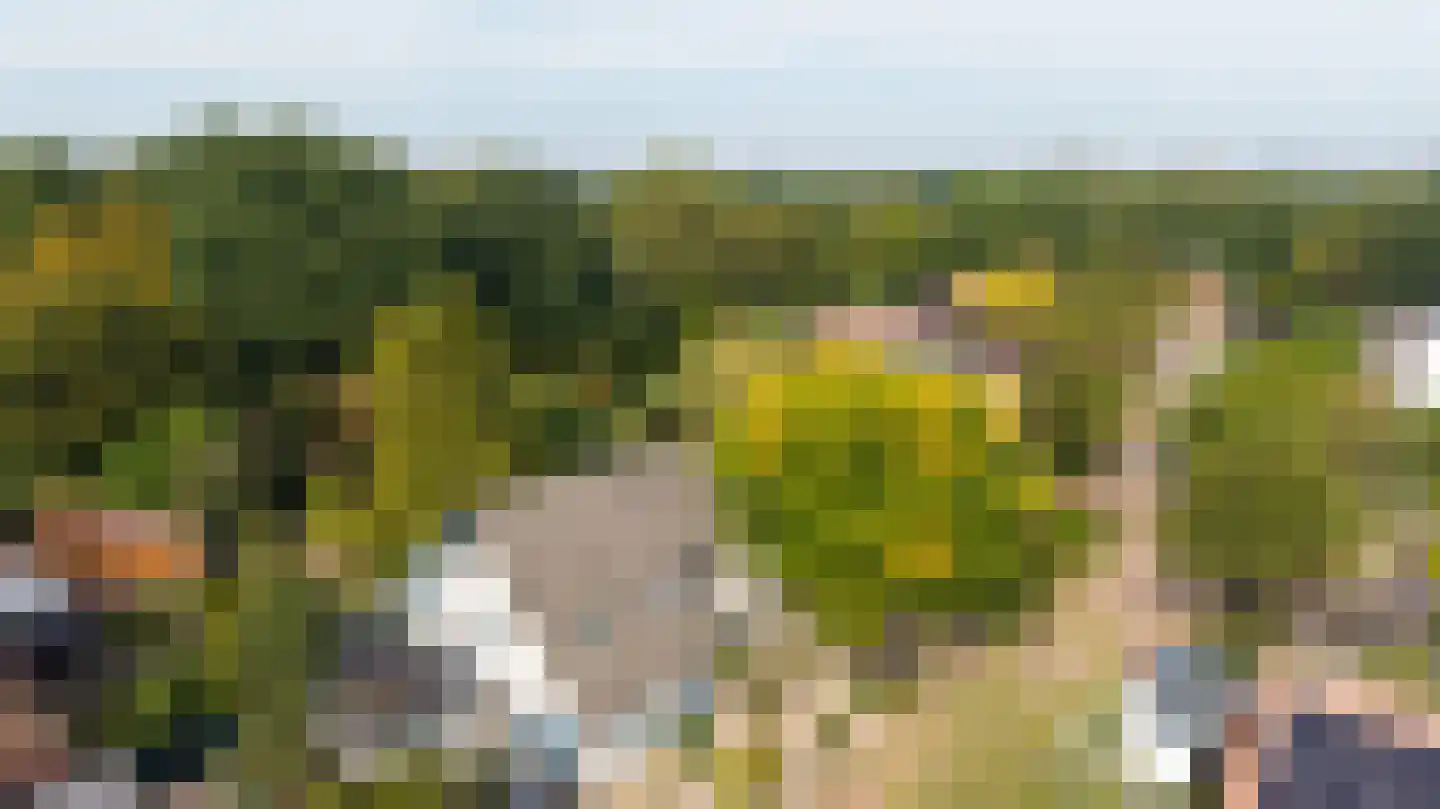 Wildenborch 208 Doetinchem thumbnail 45