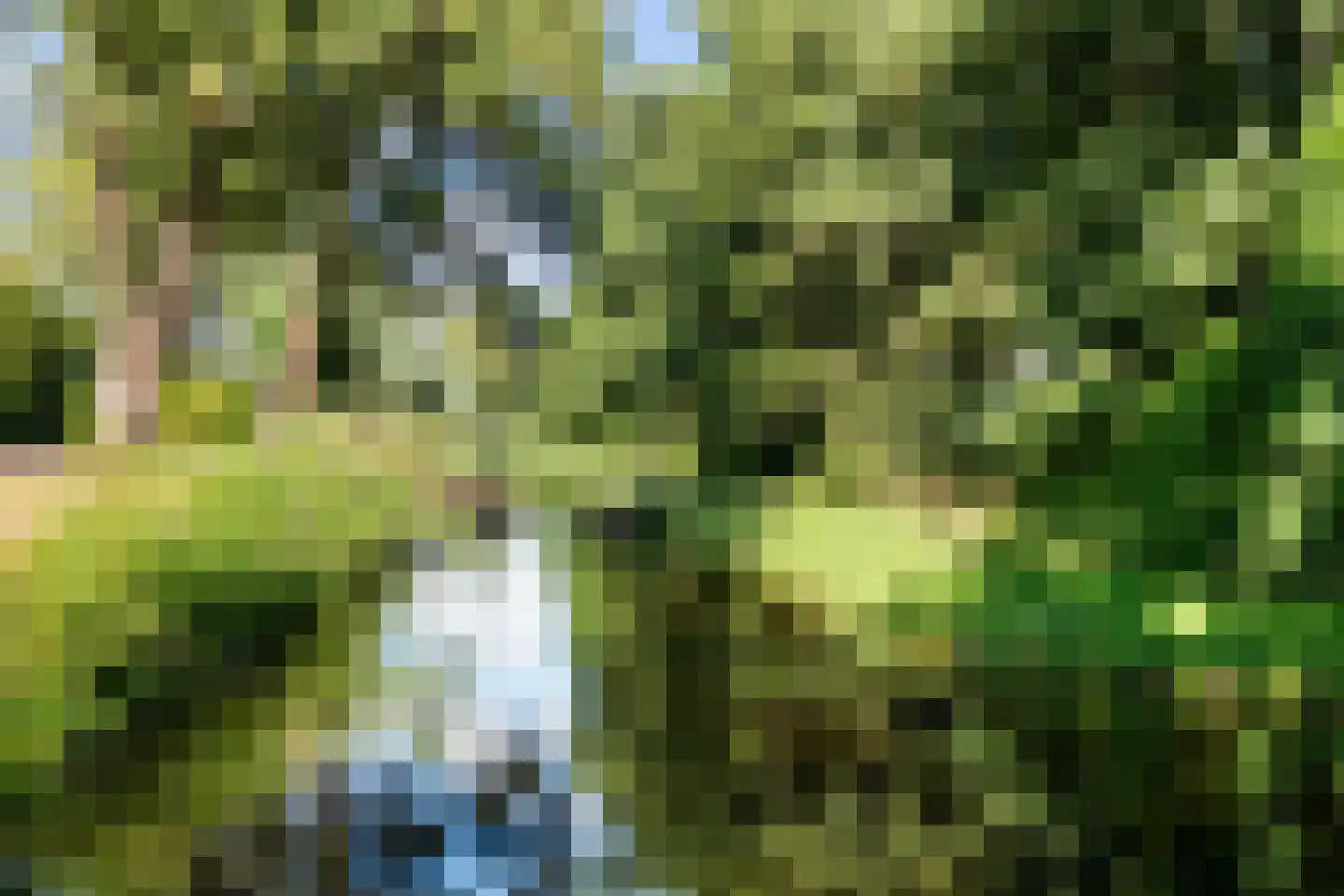 Wildenborch 22 Leidschendam thumbnail 54